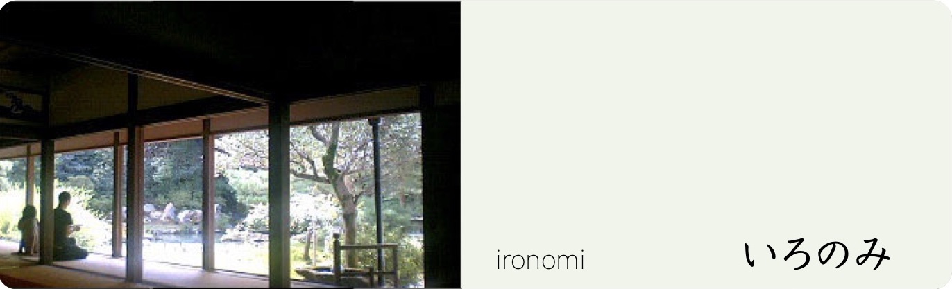 ironomi